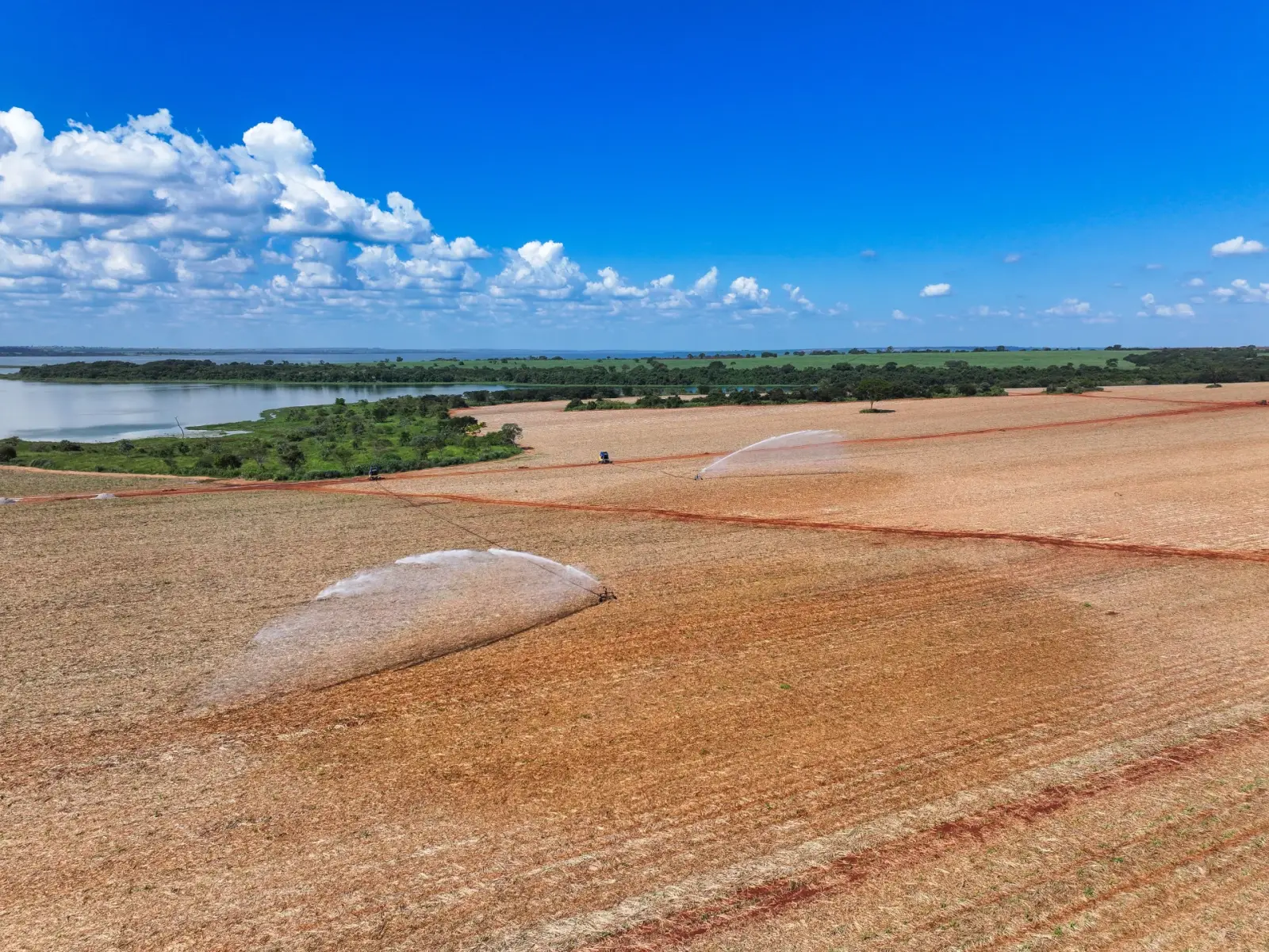 Vista aérea de irrigação por aspersão em canavial às margens de um reservatório, com mata ciliar preservada no entorno